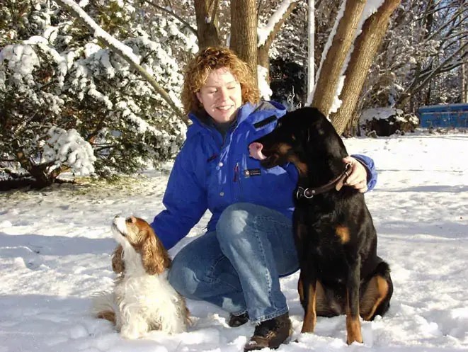 Addisonin tauti koirilla