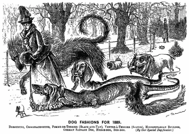 Kun ulkomuoto vaikuttaa hyvinvointiin