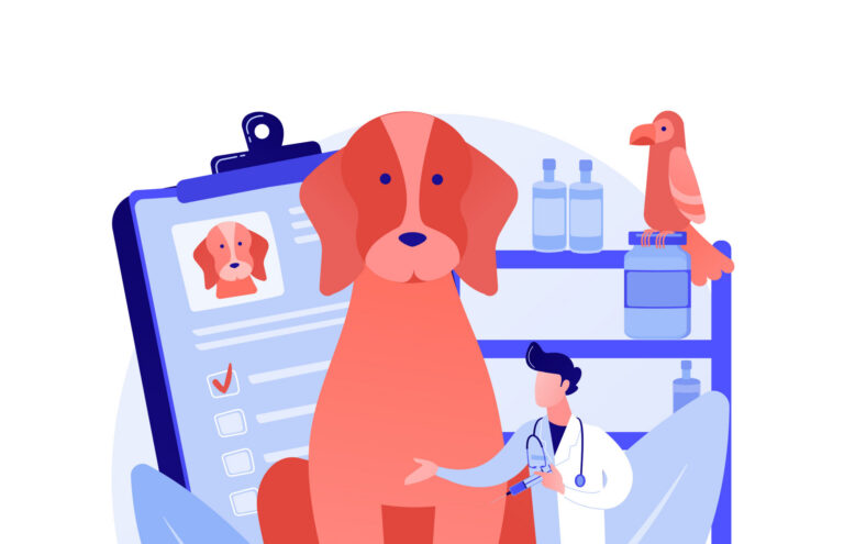 Nuori koira jalostuksessa – mahdollisuus, riski vai molempia?